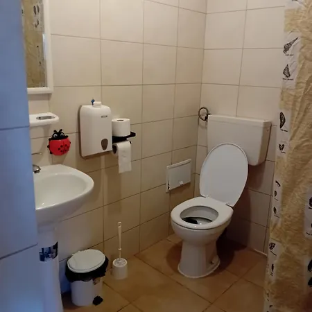 Lebada Neagra Casa de hóspedes *