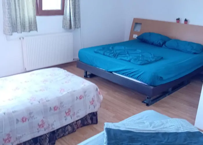 Lebada Neagră Pensiune *