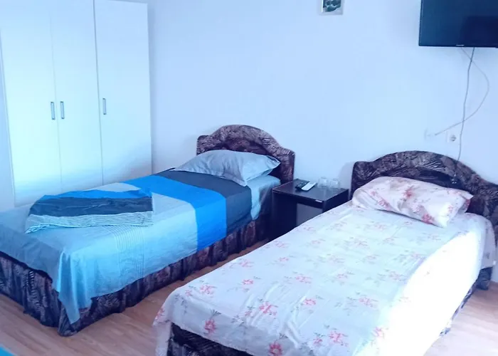 Lebada Neagră * Schitu