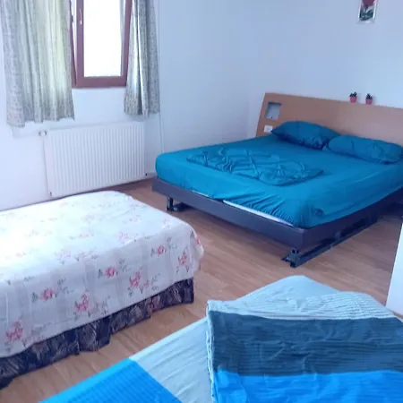 Lebada Neagra בית הארחה *