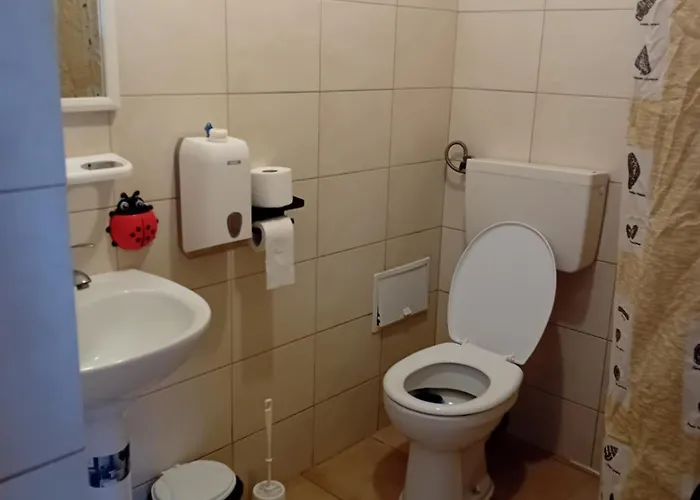 Lebada Neagra Vendégház *